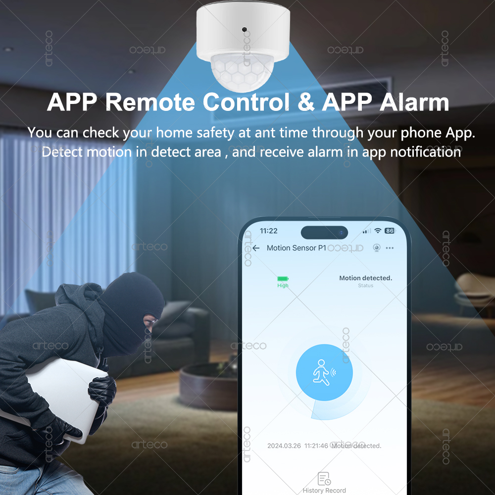 Ewelink Zigbee PIR Sensor Gera - Zigbee Motion Sensor ulasan dan harga
