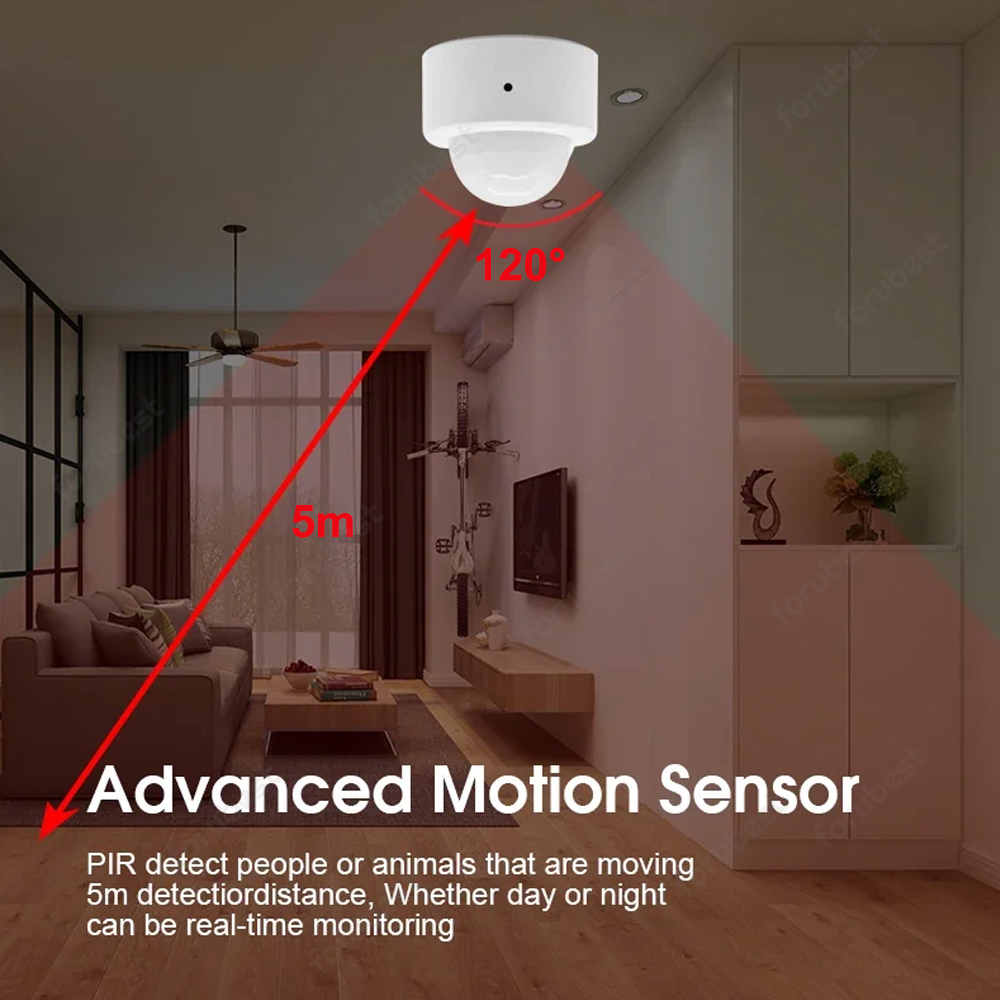 Zigbee 3.0 Sensor gerak manusi - Zigbee Motion Sensor ulasan dan harga
